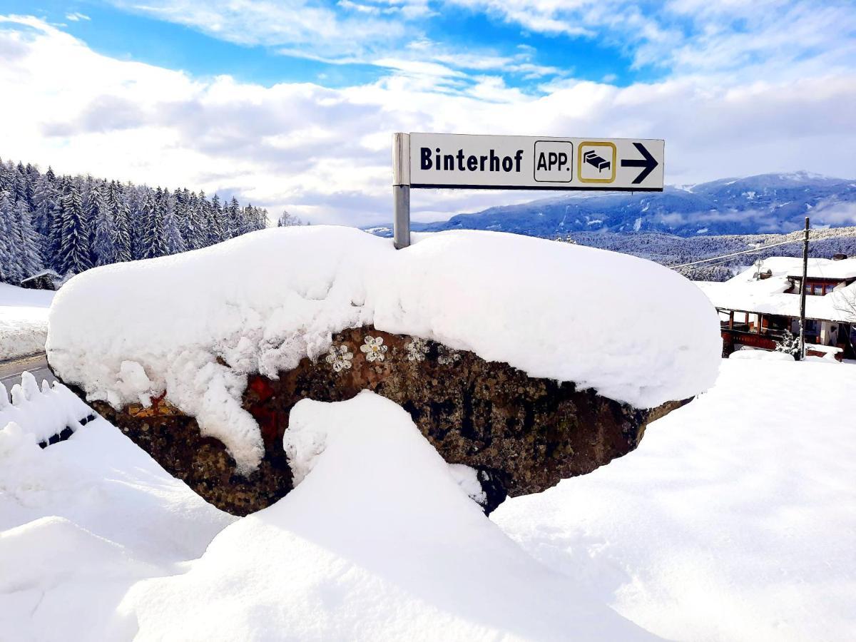 Binterhof Apartment *